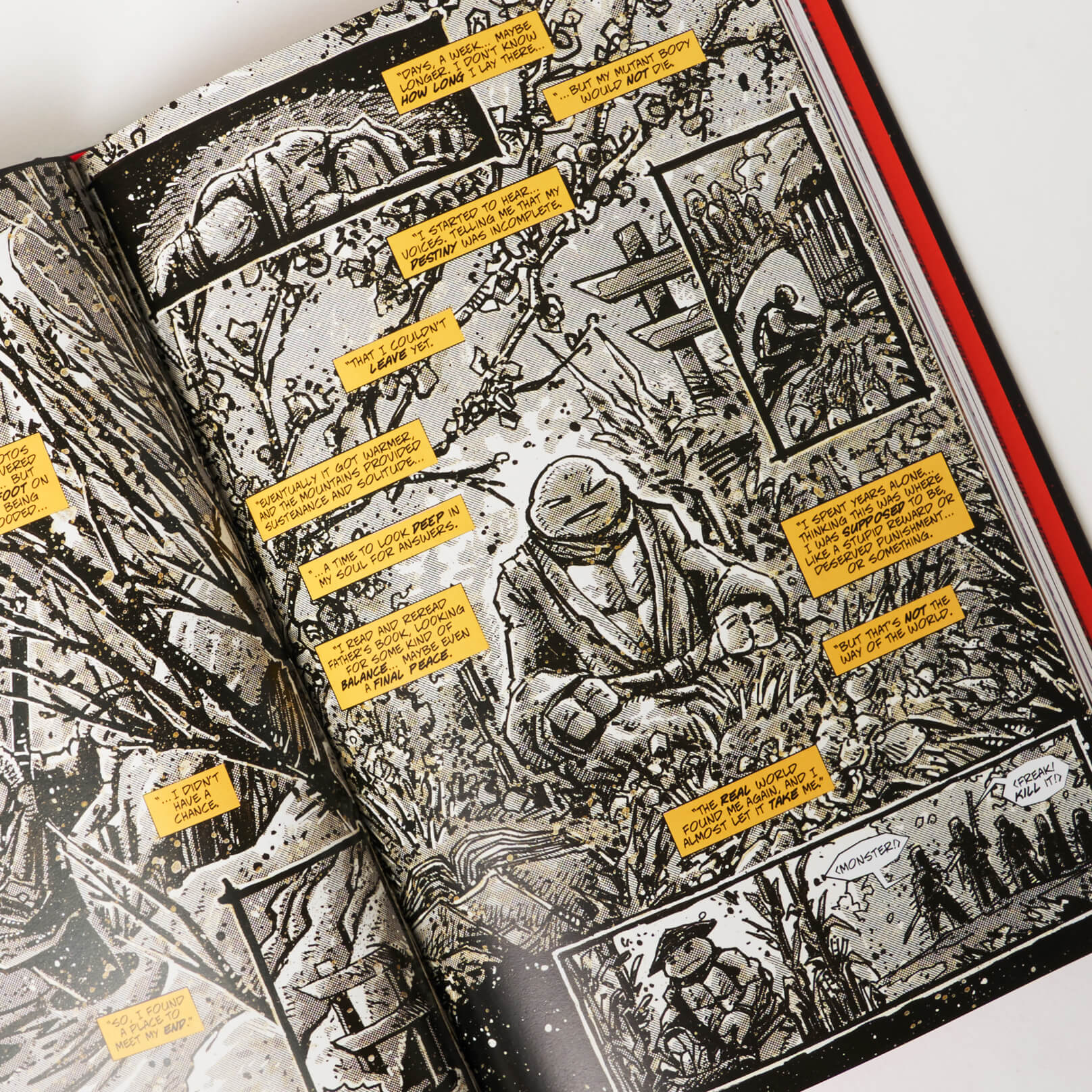 Teenage Mutant Ninja Turtles: The Last Ronin - Image 3